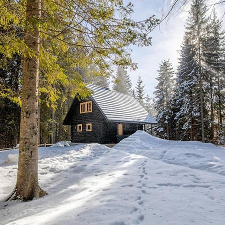 Cosy Lodge Pokljuka Goreljek 외부 사진