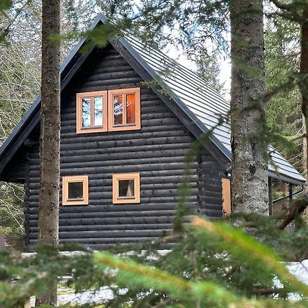 Cosy Lodge Pokljuka Goreljek 외부 사진