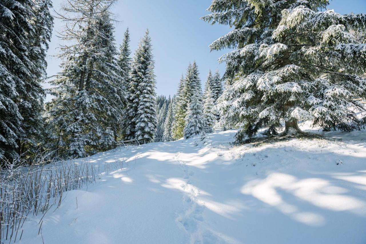 Cosy Lodge Pokljuka Goreljek 외부 사진