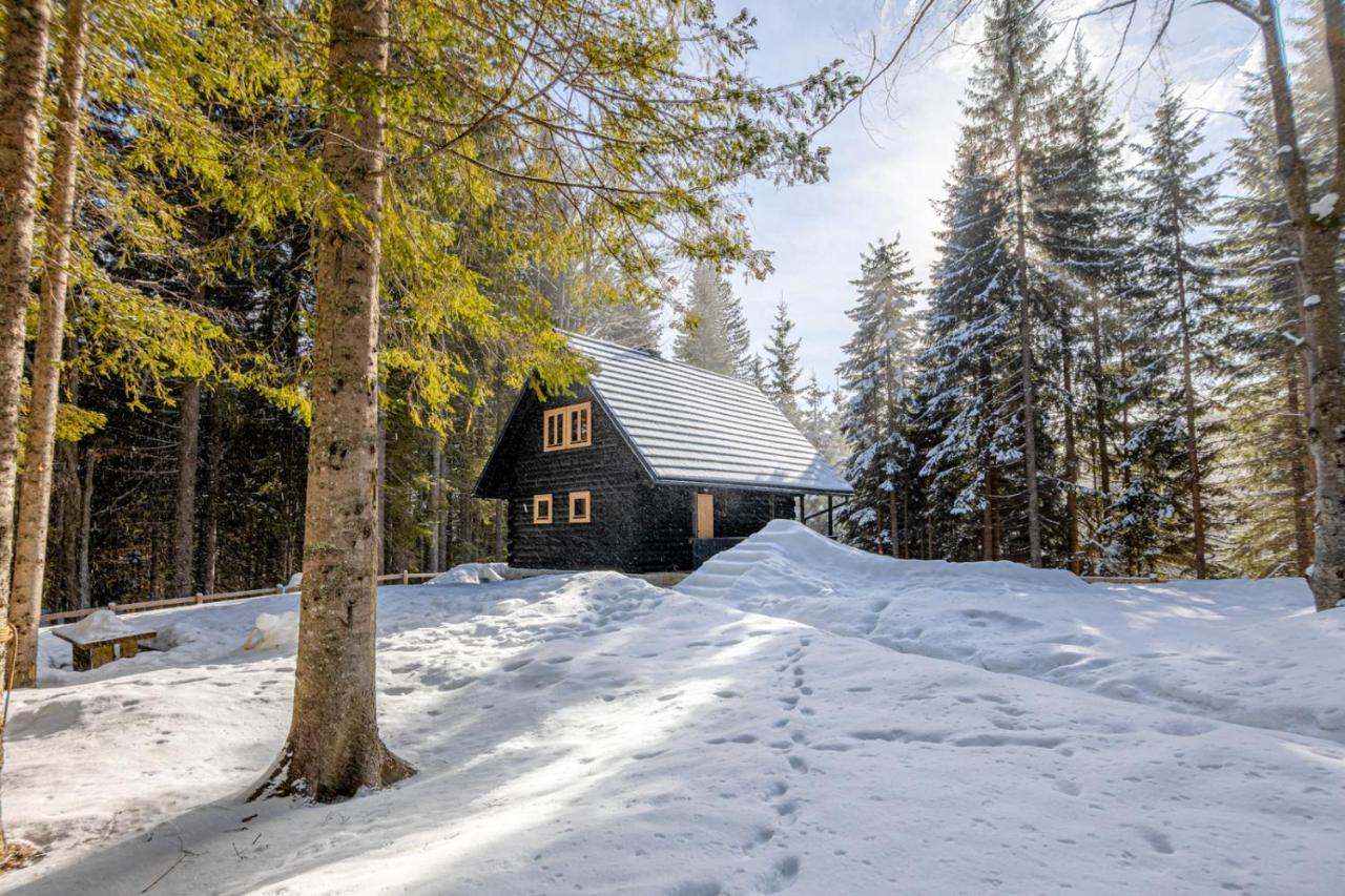 Cosy Lodge Pokljuka Goreljek 외부 사진