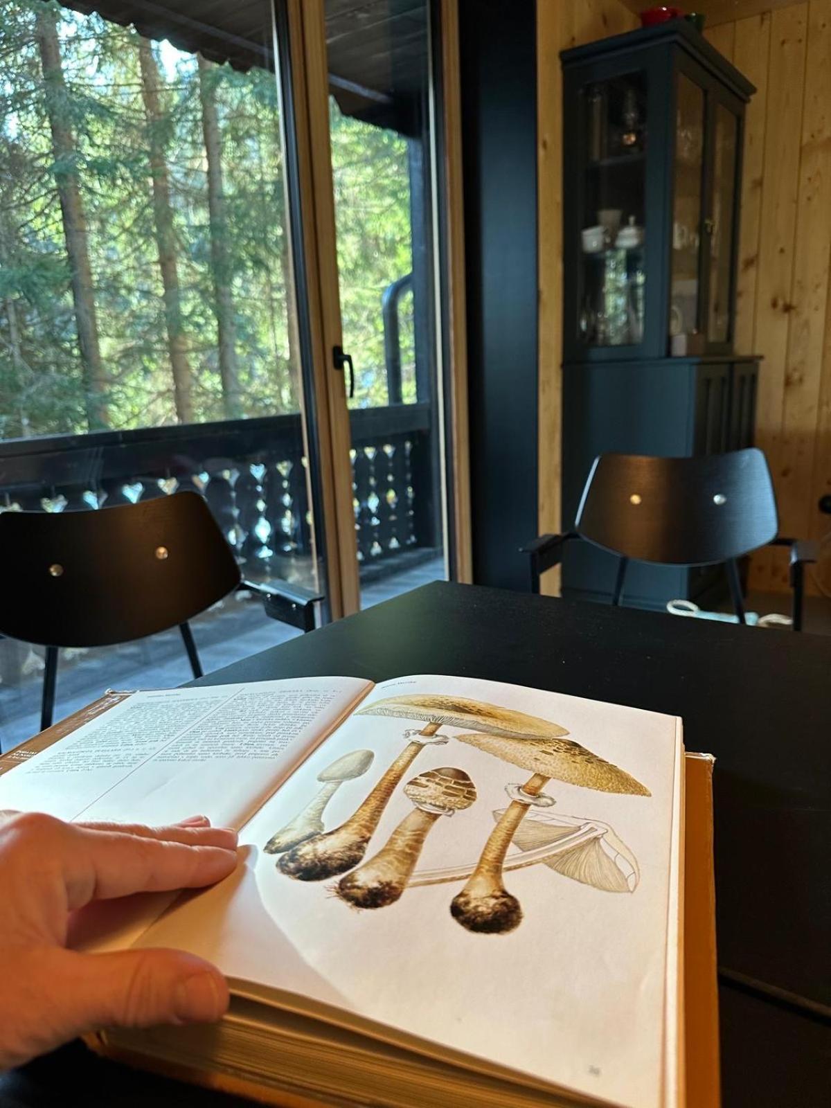 Cosy Lodge Pokljuka Goreljek 외부 사진