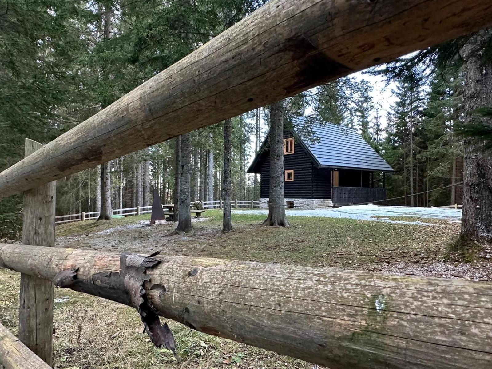 Cosy Lodge Pokljuka Goreljek 외부 사진