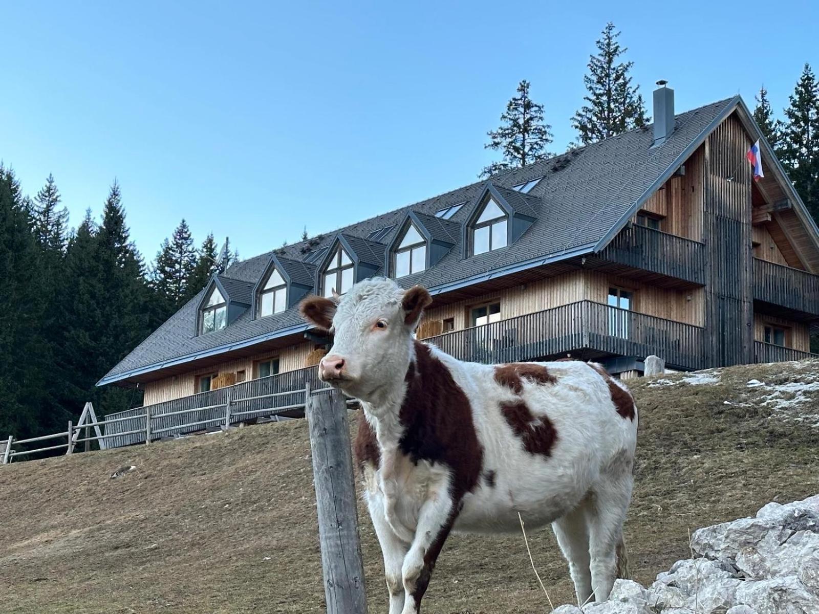 Cosy Lodge Pokljuka Goreljek 외부 사진
