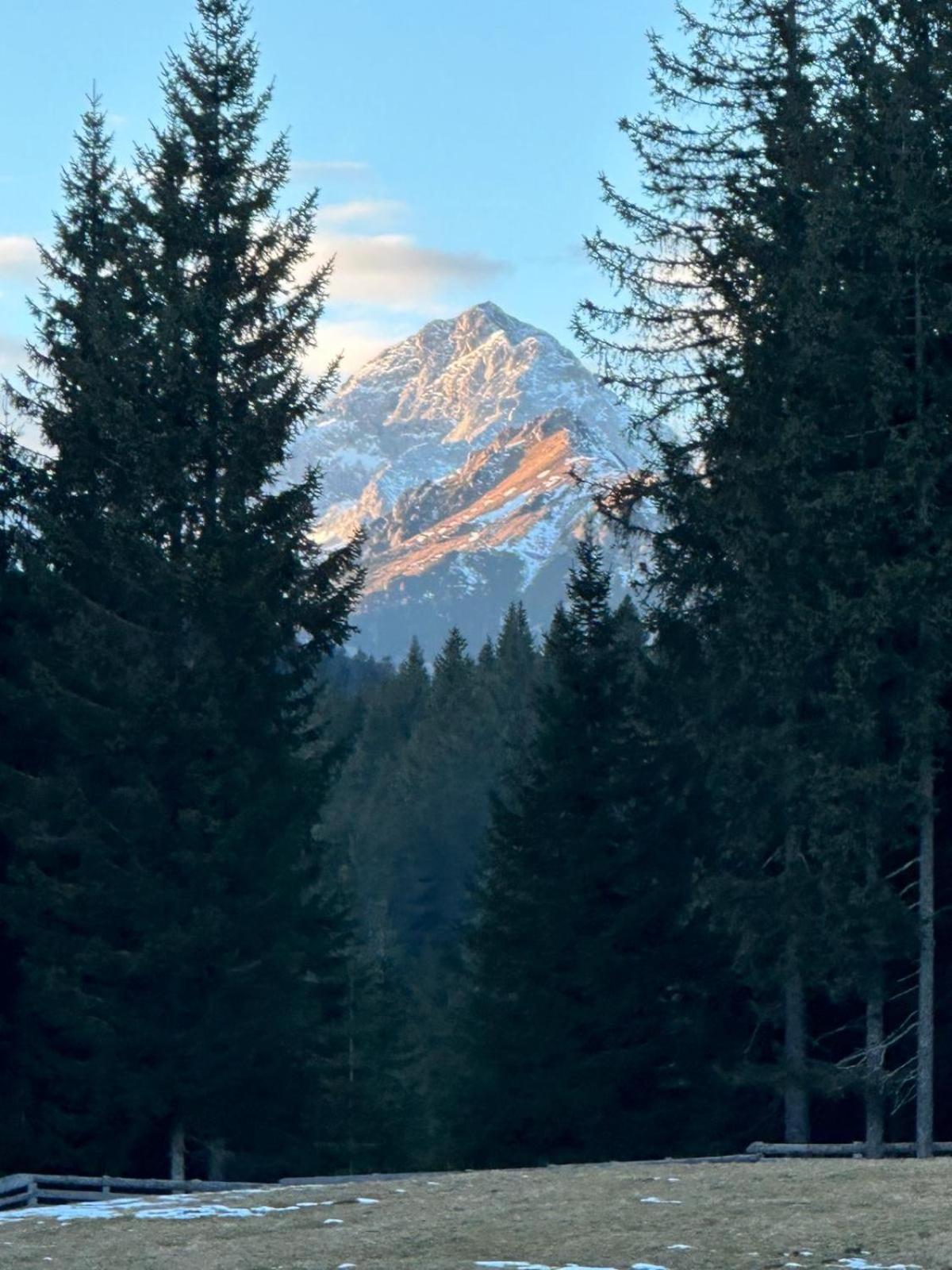 Cosy Lodge Pokljuka Goreljek 외부 사진