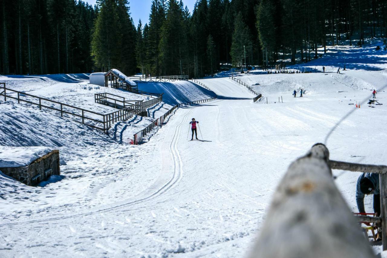 Cosy Lodge Pokljuka Goreljek 외부 사진